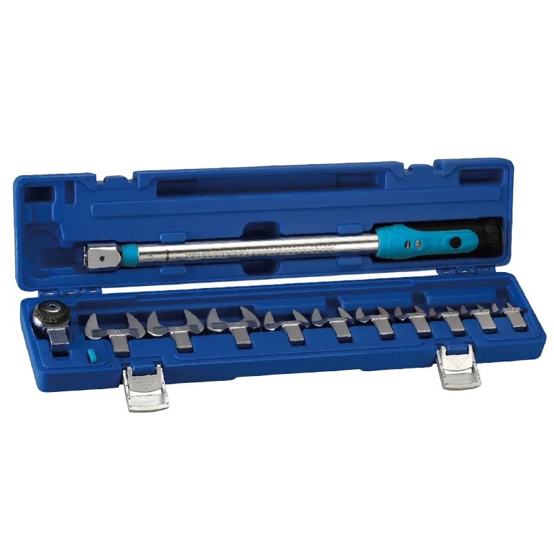 12pcs Interchangeable Screen Torque Wrench Set