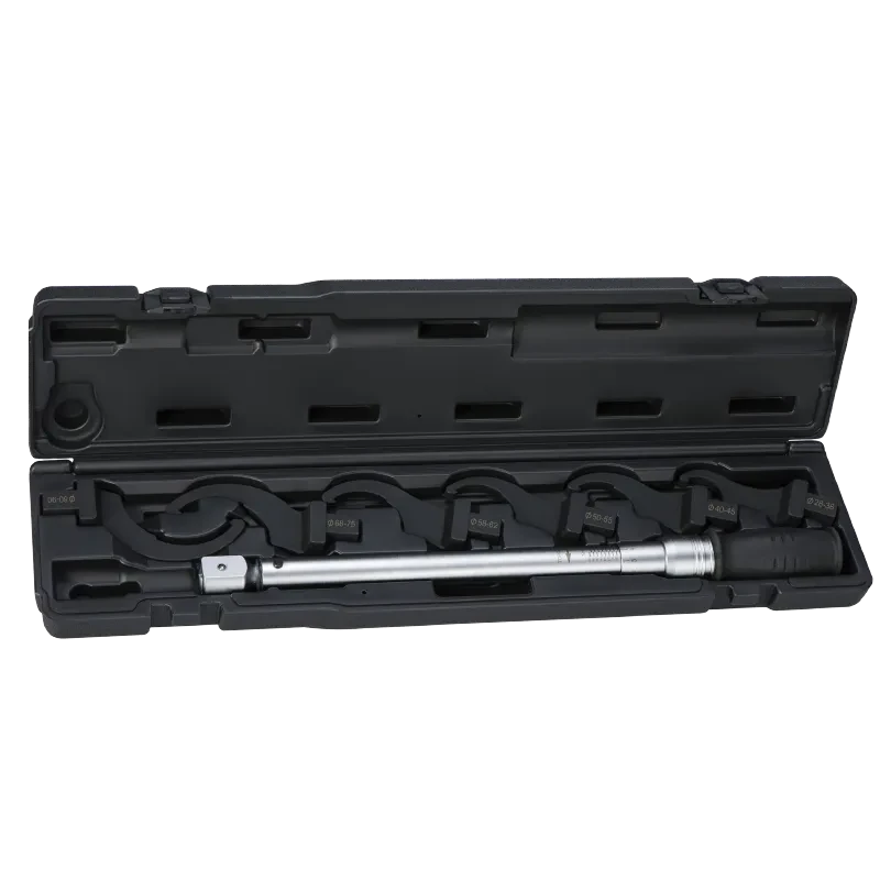 Interchangeable Hook Head Torque Wrench Set