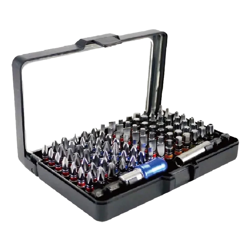 100pcs Color Ring Bit Set