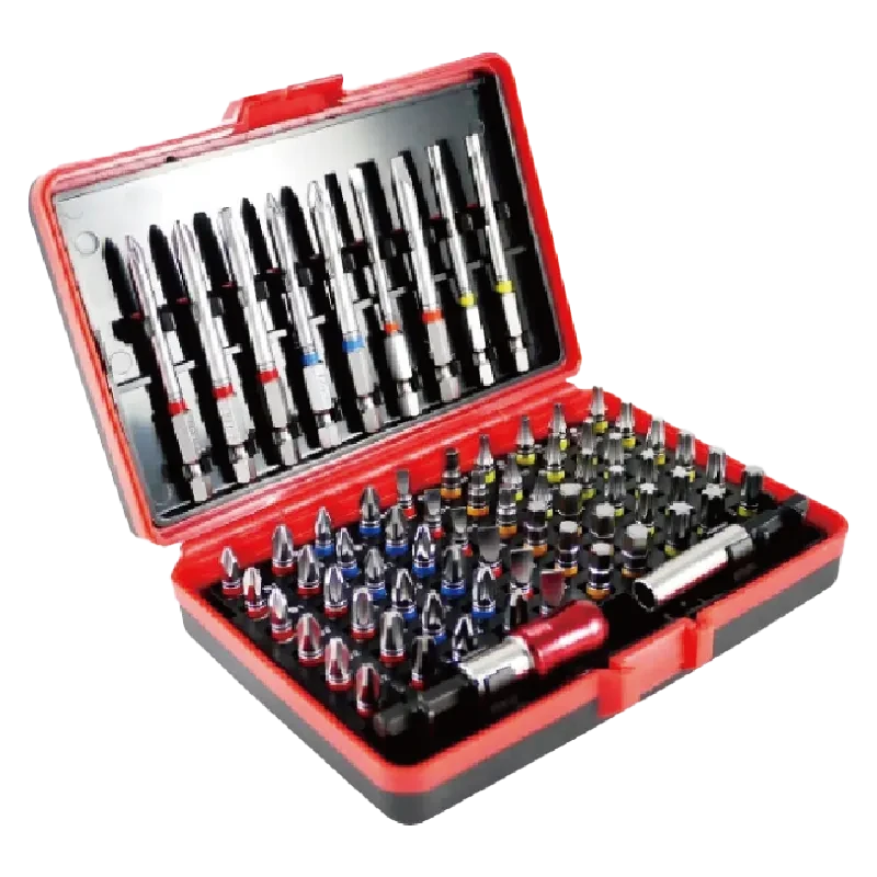 71pcs Color Ring Bit Set